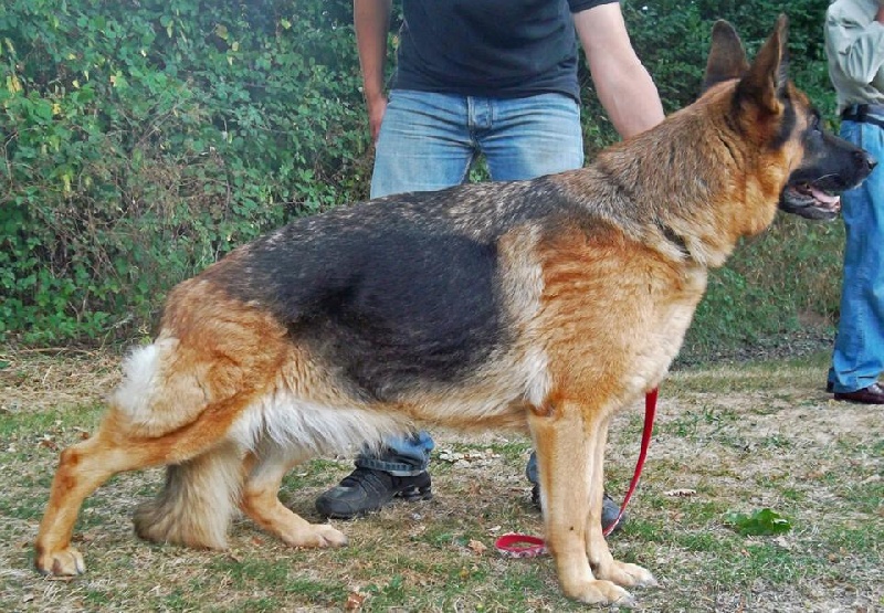 Extasy (Sans Affixe)